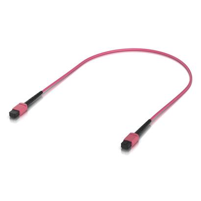 indoor-om4-multi-mode-fiber-patch-cable-with-mpo-12-type