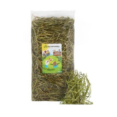 factory-herbs-fresh-timothy-hay-harvest-2025-golosina-para-roedores-y-conejos-500g