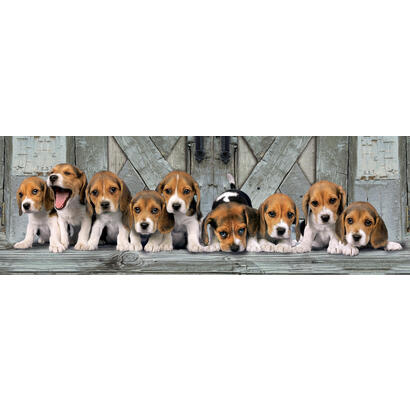 puzzle-1000-el-panorama-hq-beagles