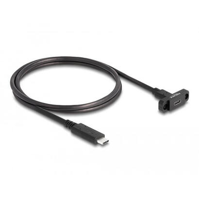 delock-superspeed-usb-10-gbps-usb-32-gen-2-cable-usb-type