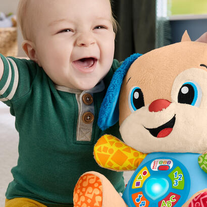 fisher-price-learning-fun-dog-cuddly-toy-bluelight-brown-jfd20