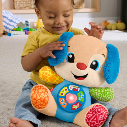 fisher-price-learning-fun-dog-cuddly-toy-bluelight-brown-jfd20