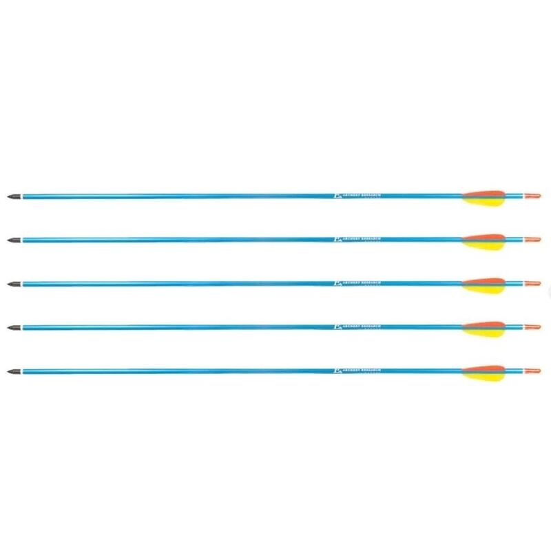 poe-lang-target-30-d-016-bflechas-de-aluminio-5-piezas-azul