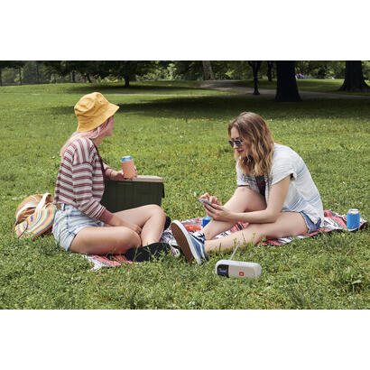 jbl-tuner-2-black-portable-accs-dabfm-radio-bt-speaker-ipx7