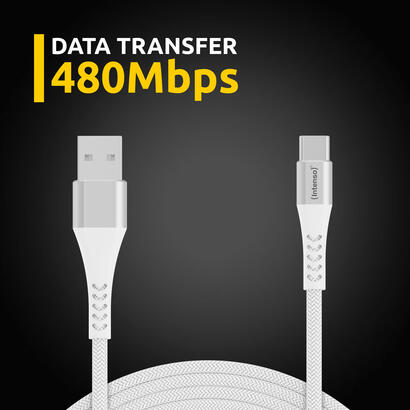 cable-usb-c-a-usb-a-intenso-15m-a315c-blanco