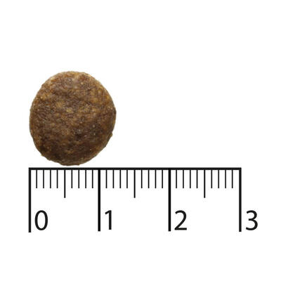 bozita-purely-reindeer-alimento-sin-granos-para-perros-adultos-activos-25-kg