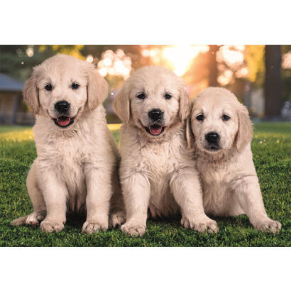 puzzle-hermanos-de-piel-2x60pzs