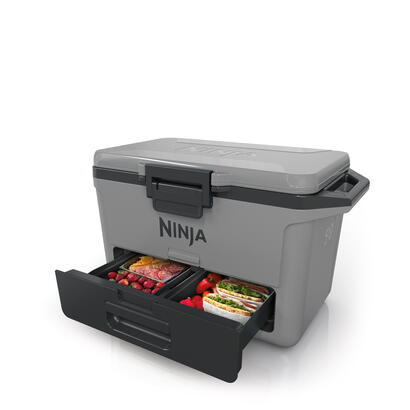 ninja-fb151eugy-nevera-portatil-47-l-gris