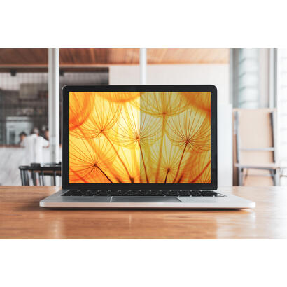 3m-bp135c3e-filtro-para-monitor-filtro-de-privacidad-para-pantallas-sin-marco-343-cm-135
