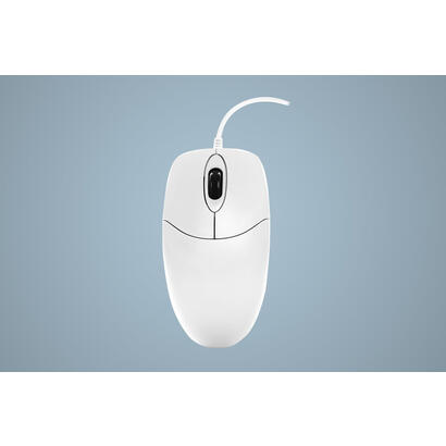 active-key-ak-pmj1-raton-oficina-ambidextro-usb-tipo-a-optico-1000-dpi