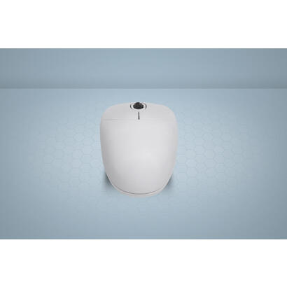 active-key-ak-pmj1-raton-oficina-ambidextro-usb-tipo-a-optico-1000-dpi