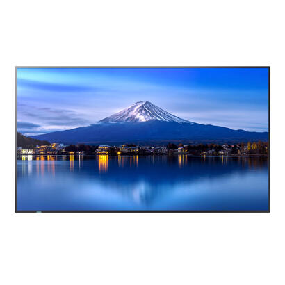 multisync-p656-lfd