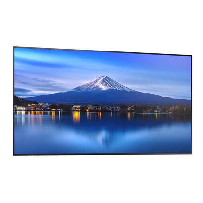 multisync-p656-lfd
