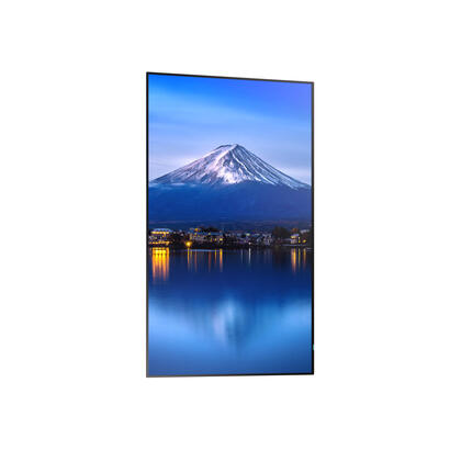 multisync-p656-lfd