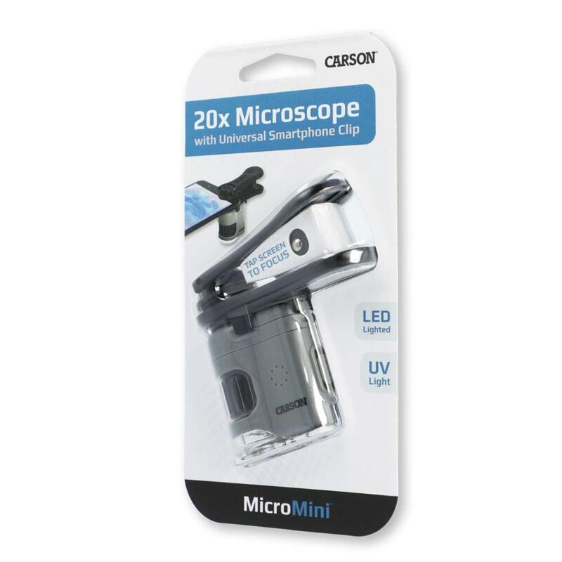 carson-micromini
