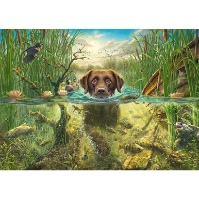 puzzle-de-1000-piezas-de-mark-fredrickson-dog-love-labrador-marron-en-el-agua-fria-58572