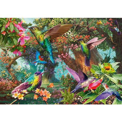 schmidt-games-juego-de-color-del-kolibris-rompecabezas-1000-partes-58869
