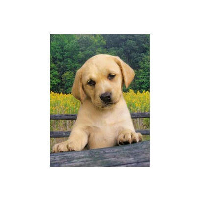 puzzle-snoopy-1000pzs