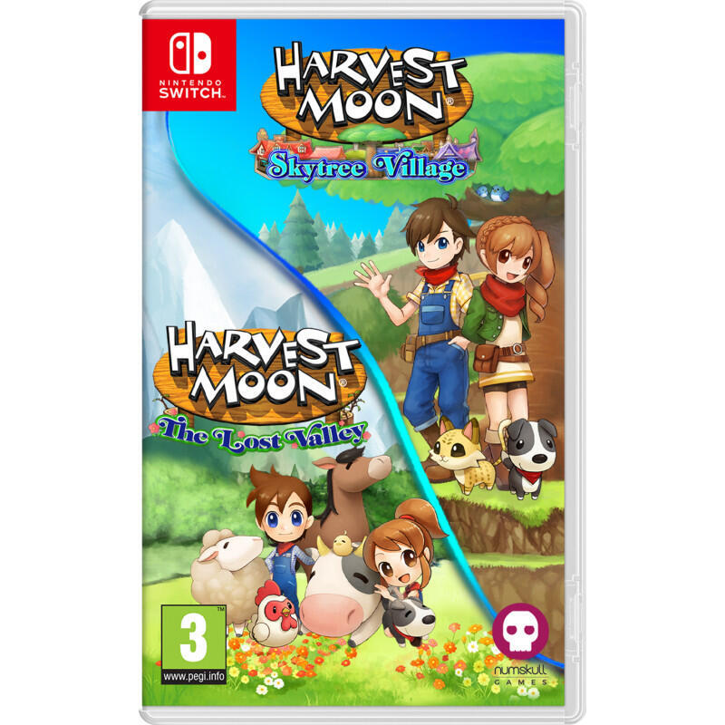 juego-harvest-moon-lost-valley-svillage-switch