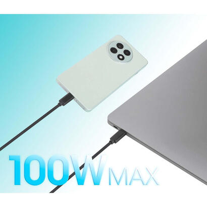 manhattan-dual-usb-c-ladecable-100-w-2-m-negro