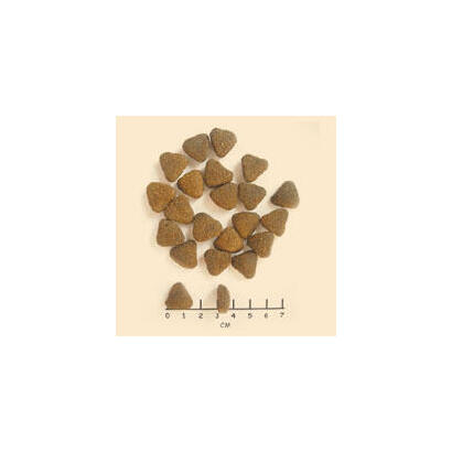wolfsblut-adult-2-kg-adulto-cabello-batata