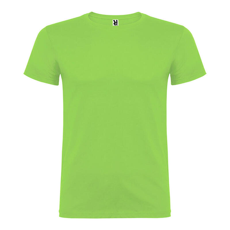 pack-de-5-unidades-camiseta-beagle-verde-oasis-t2xl
