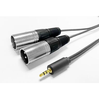 35mm-cable-to-2-x-xlr-male-2m