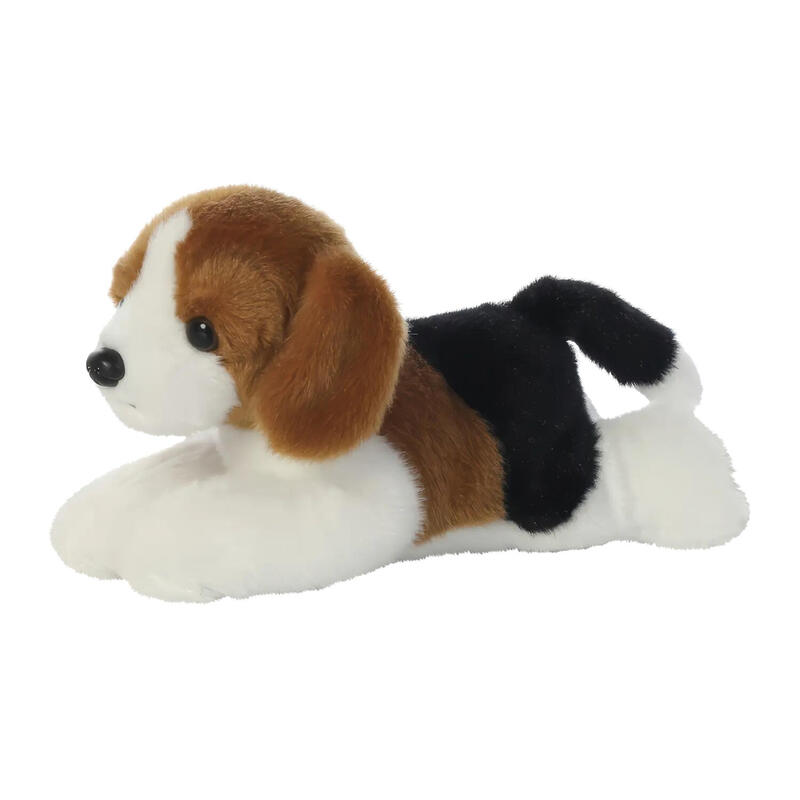 aurora-mf-homer-beagle