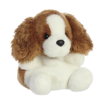 aurora-pp-lady-spaniel-dog