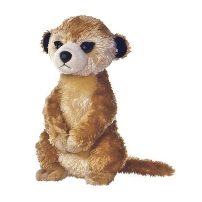 aurora-mf-meerkat