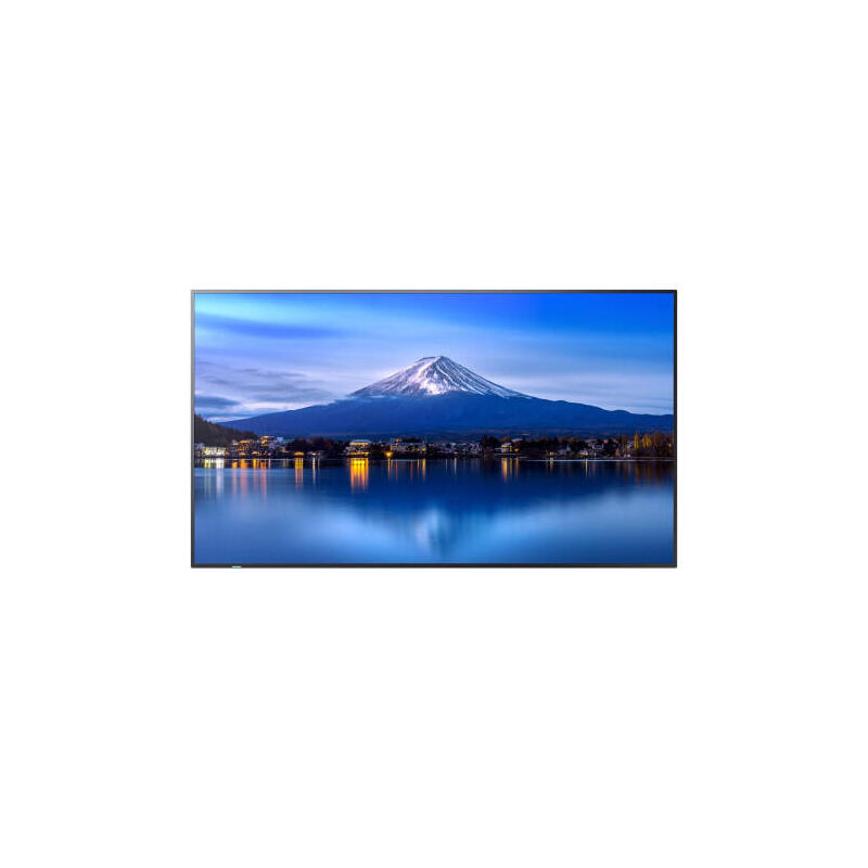 multisync-p556-lfd