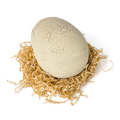 spin-master-primal-hatch-t-rex-interactivo-en-el-huevo-figura-de-juego-6072462