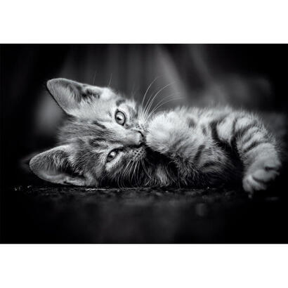 puzzle-kitty-high-quality-1000pzs