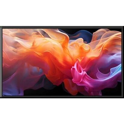 multisync-e869-lfd
