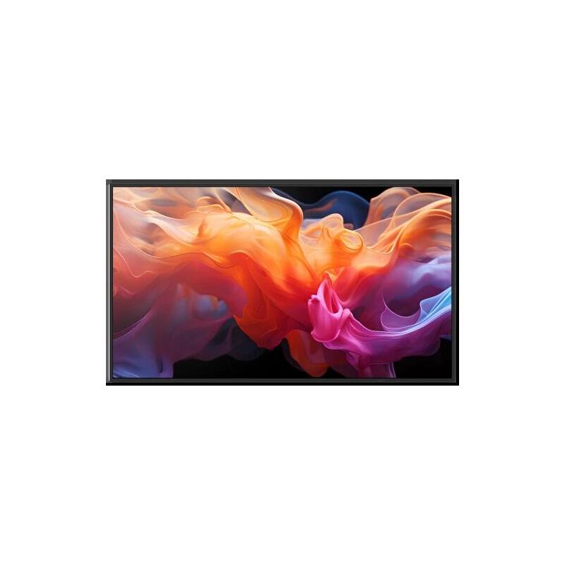 multisync-e869-lfd