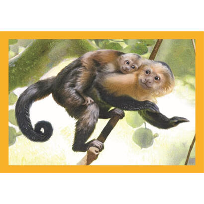 puzzle-noli-baby-cuddles-12-16-20-24pzs