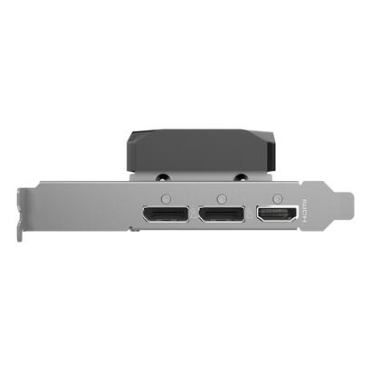 tarjeta-grafica-rtx-5060-8gb-zotac-low-profile-gddr7