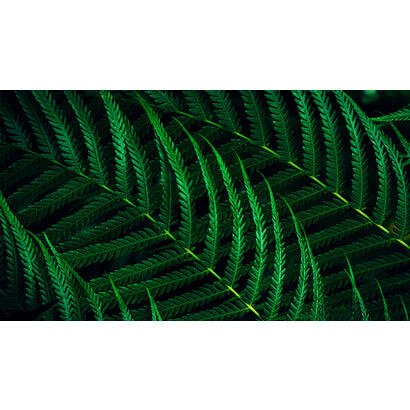 monitor-philips-27b2g5500-00-27-qhd-led-169-ips-75hz-2xhdmi-14-dp-12