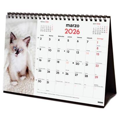 finocam-calendario-de-sobremesa-para-escribir-s-210x150mm-mv-imagenes-gatitos-2026
