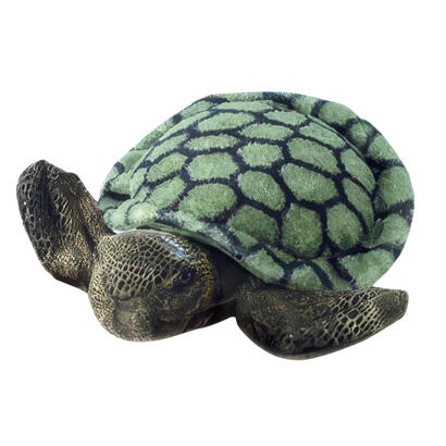 aurora-mf-splish-splash-sea-turtle
