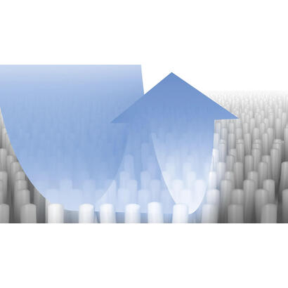 bosch-bbzwdset-accesorio-y-suministro-de-vacio-solucion-de-limpieza-aspiradora-cilindrica