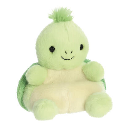 aurora-pp-tiny-turtle