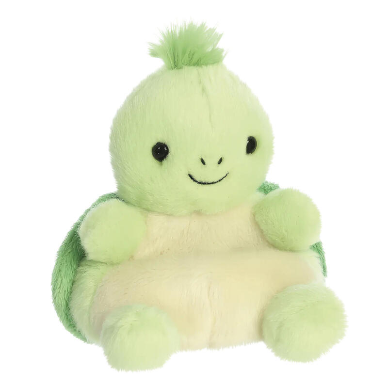 aurora-pp-tiny-turtle