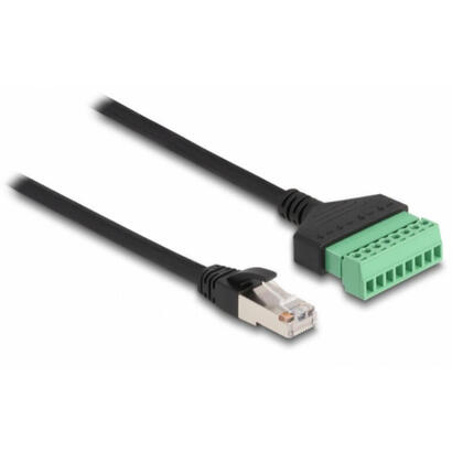 delock-rj45-cable-cat6-m-terminalblock-adaptador-30cm-2tlg