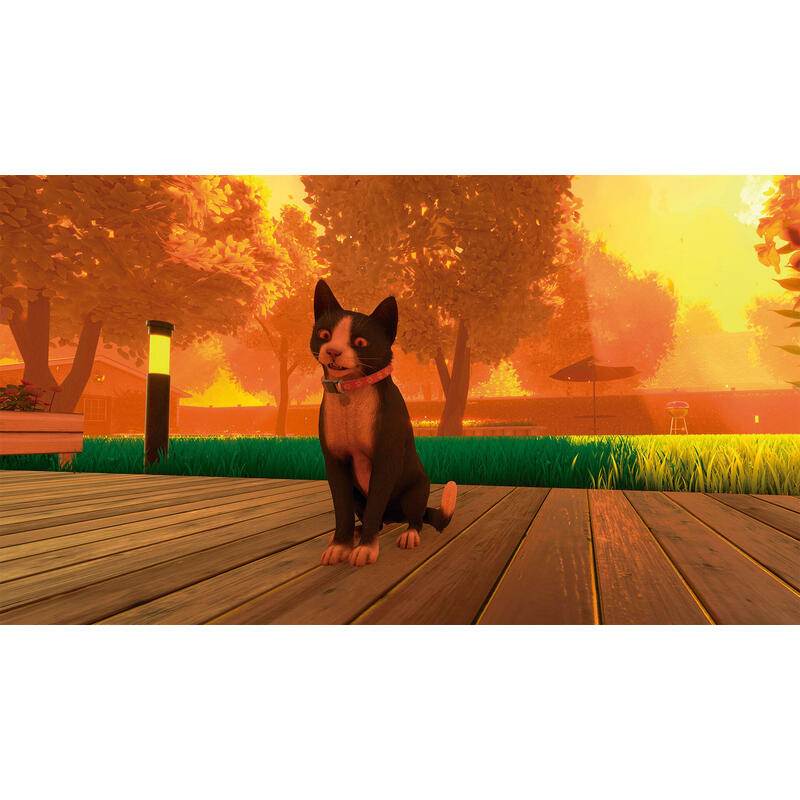 juego-copycat-playstation-5