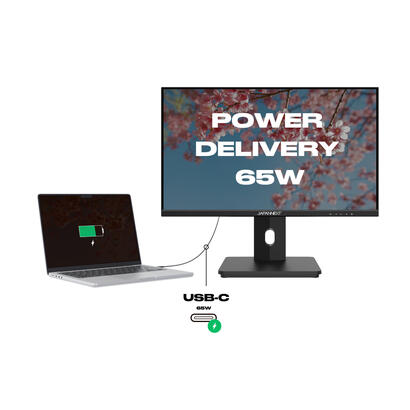 monitor-japannext-jn-i215flfhsp-c65w-215-1920-x-1080-pixeles-full-hd-lcd-negro