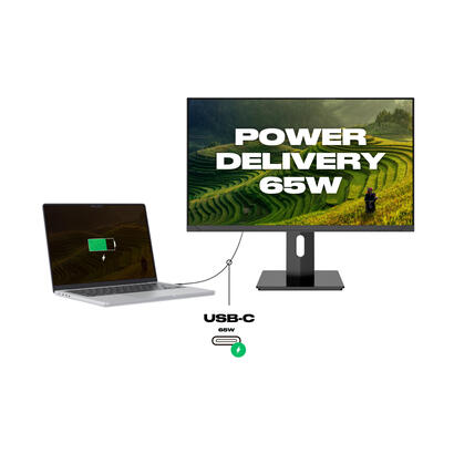 monitor-japannext-jn-ips2380uhdr-c65w-hsp-238-3840-x-2160-pixeles-4k-ultra-hd-led-negro