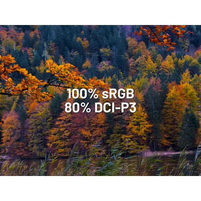 monitor-japannext-jn-i238fhd120f-hsp-ye-238-1920-x-1080-pixeles-full-hd-lcd-amarillo