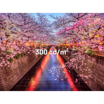 monitor-japannext-jn-i238fhd120f-hsp-ye-238-1920-x-1080-pixeles-full-hd-lcd-amarillo