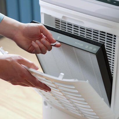 dehumidifier-air-purifierde530511-philips